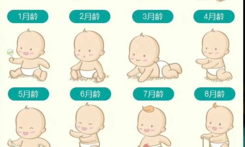 美素佳儿荷兰版可靠吗-荷兰本土美素与美素佳儿的区别网- 荷兰本土美素佳儿奶粉怎么样知识,分享美素佳儿国内和荷兰区别