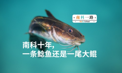 荷兰本土美素与美素佳儿的区别在哪-荷兰本土美素与美素佳儿的区别网- 荷兰本土美素佳儿奶粉怎么样知识,分享美素佳儿国内和荷兰区别
